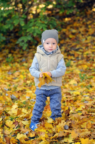 Two years old boy standing on falling autumn leaves