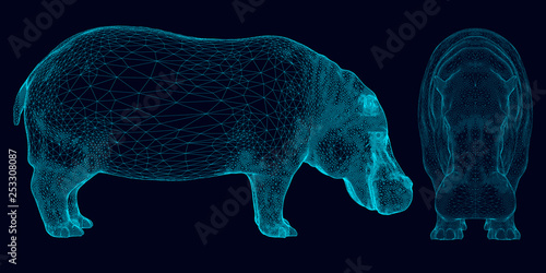 Set with wireframe hippopotamus of blue lines on a dark background. Side and front view. 3D. Vector illustration