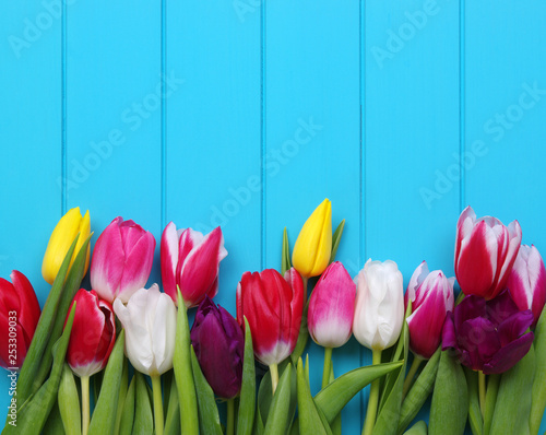 Fototapeta Naklejka Na Ścianę i Meble -  tulips on blue wood