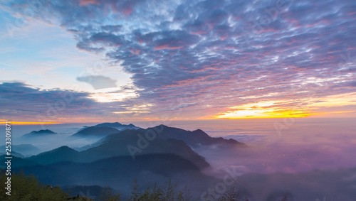 Ali Mountain - Taiwan © Dante