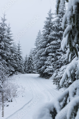 Mountain snowy road in Transylvania