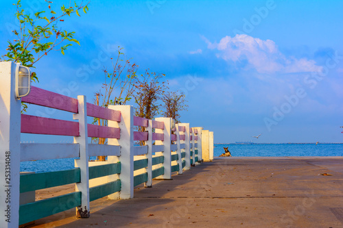 Beach with blue sky. Natural park and outdoor background