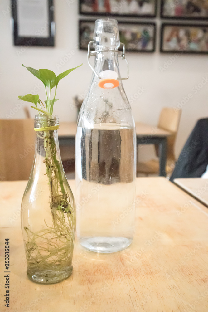 Interior shot of cafe table with homemade centre decorations. Glass bottle with water and glass jar with plant Interior shot of cafe table with homemade centre decorations. Glass bottle with water and glass jar with plant