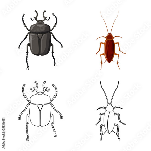 Vector illustration of insect and fly icon. Set of insect and element stock vector illustration.