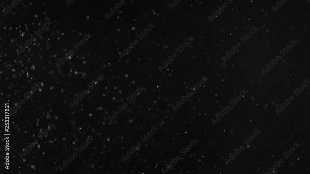 Natural Organic Dust Particles Floating On Black Background. Dynamic Dust Particles Randomly Float In Space With Fast And Slow Motion. Shimmering Glittering White Particles With Bokeh In The Air. Natural Organic Dust Particles Floating On Black Background. Dynamic Dust Particles Randomly Float In Space With Fast And Slow Motion. Shimmering Glittering White Particles With Bokeh In The Air.
