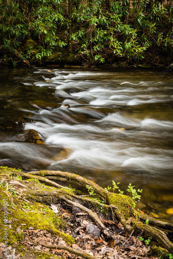 Rapids on the North River, TN Rapids on the North River, TN
