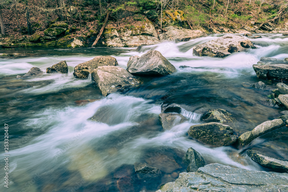 Obraz premium Rapids Above Baby Falls On The Tellico River, TN #4