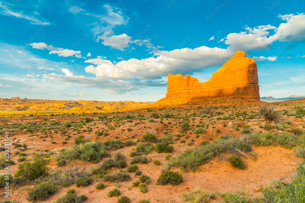 Fototapeta premium Monument with Petrified Dunes, Arches National Park, UT