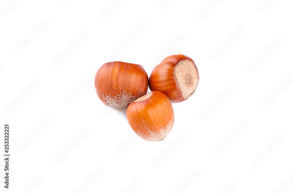 Raw hazelnuts isolated on a white background Raw hazelnuts isolated on a white background