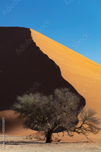 Huge Orange Dunes in Sossusvlei National Park in Namibia photo