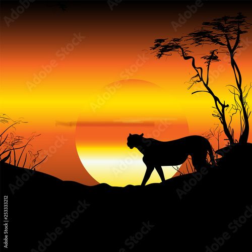 Africa, savannah, sunrise, sunset. Cheetah, silhouette, panorama, nature, travel.