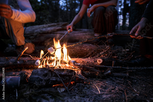 Company of friends fries delicious marshmallows on a bonfire, on a summer evening in the woods.