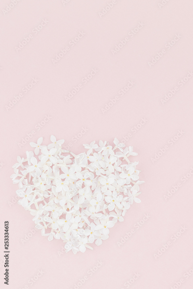 Pink background with white lilac flowers