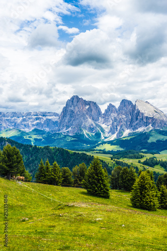 Alpe di Siusi  Seiser Alm with Sassolungo Langkofel Dolomite  a large green field with a mountain in the background
