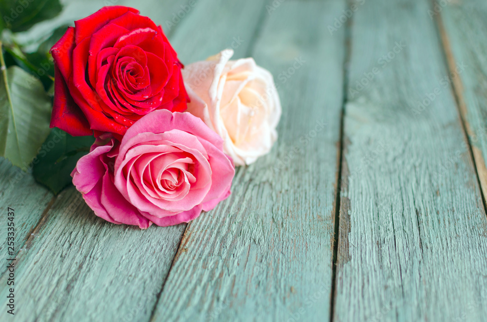 Pink and purple roses with hearts background. Valentine's day concept. Mover's or woman's day. Pink and purple roses with hearts background. Valentine's day concept. Mover's or woman's day.