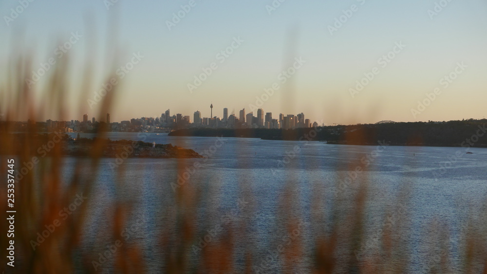 Fototapeta premium Sydney sunset