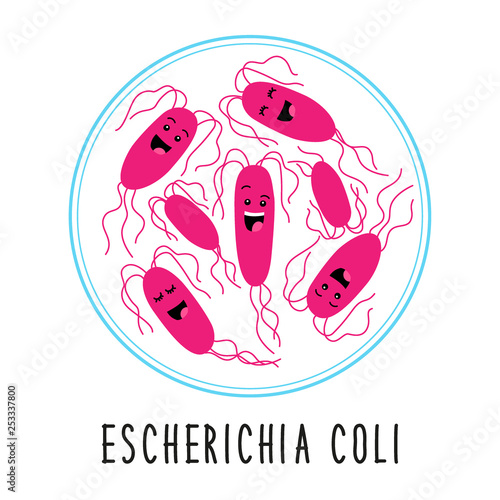 Funny gut escherichia coli bacteria family cartoon characters isolated on white, gut and intestinal flora in flat style