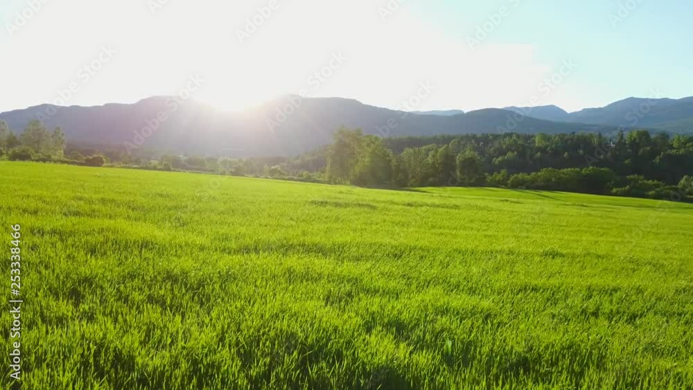 Aerial over green field with the sun setting behind the mountains Aerial over green field with the sun setting behind the mountains