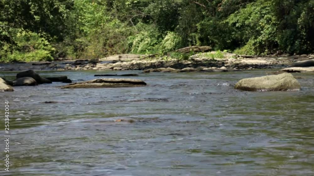 Slow River Winding Through Rocks in Forest Slow River Winding Through Rocks in Forest