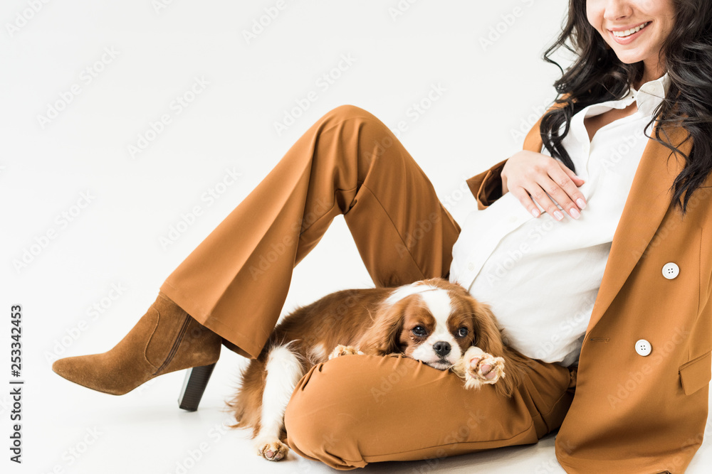 Cropped view of pregnant woman in brown suit sitting on floor with dog on white background Cropped view of pregnant woman in brown suit sitting on floor with dog on white background