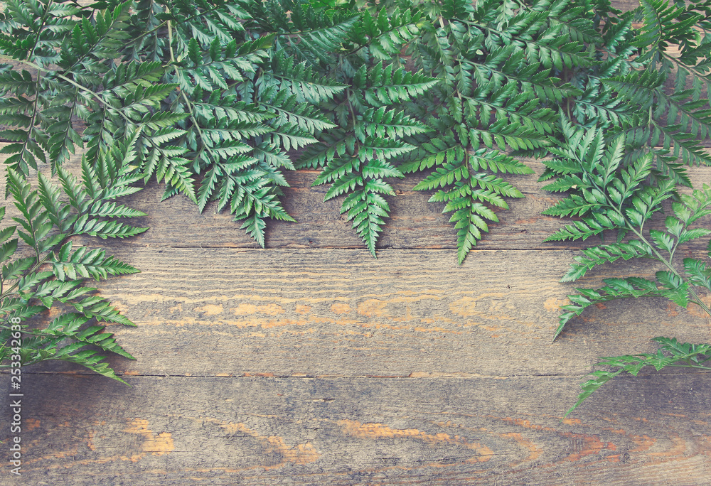 Fern leafs on the old wood. Exotic floral background. Minimalistic still life of exotic plants on rough grunge wood boards. Top view Fern leafs on the old wood. Exotic floral background. Minimalistic still life of exotic plants on rough grunge wood boards. Top view