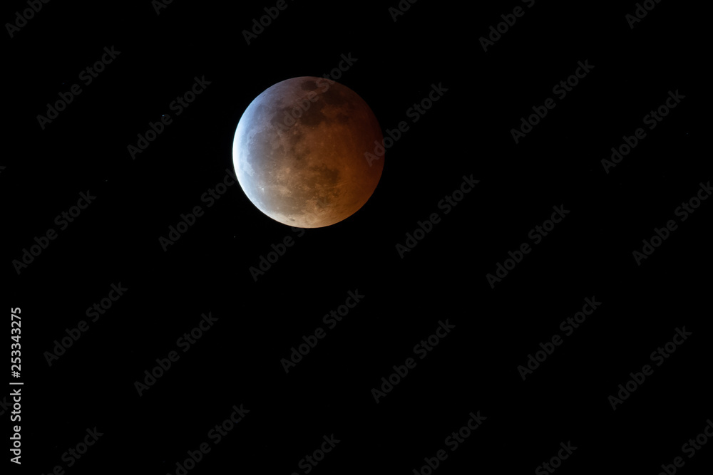 Obraz premium Blood Moon