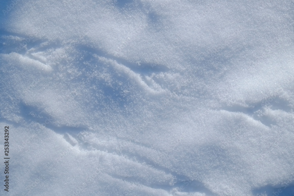 Fototapeta premium Bird Tracks on Snow