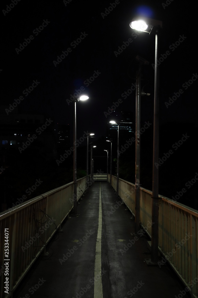 Footbridge at night dim light ,Darkness.