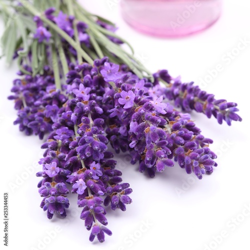 Bouquet of lavender.