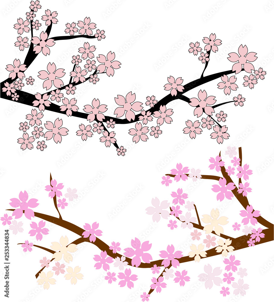 vector cherry blossom in japan 