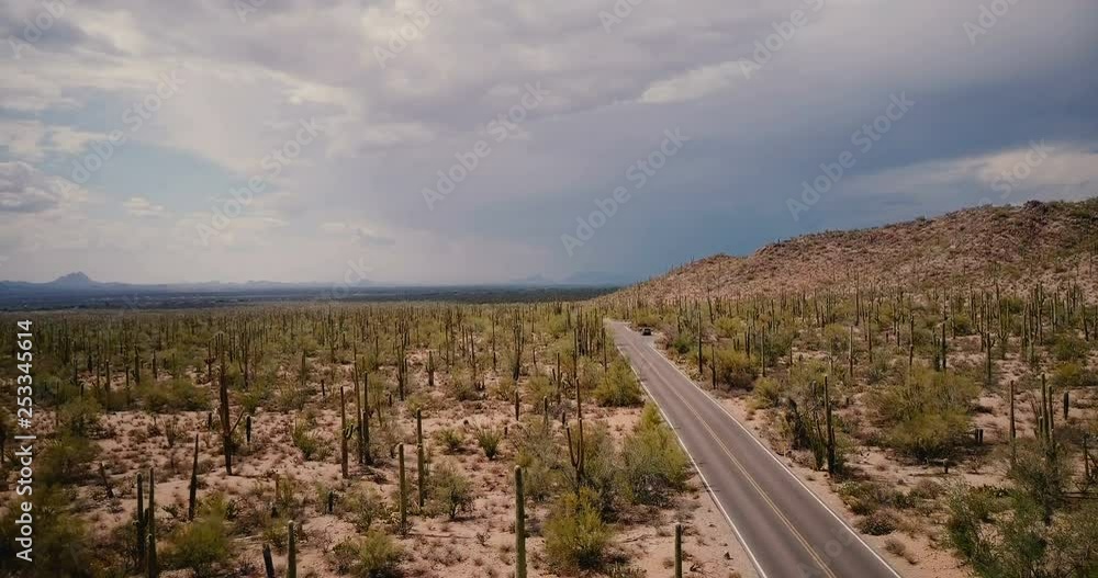 Drone flying low above desert road, stationary car in the middle of amazing cactus field at Arizona national park USA. Drone flying low above desert road, stationary car in the middle of amazing cactus field at Arizona national park USA.