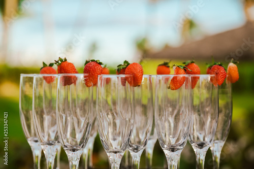 Party Glasses
