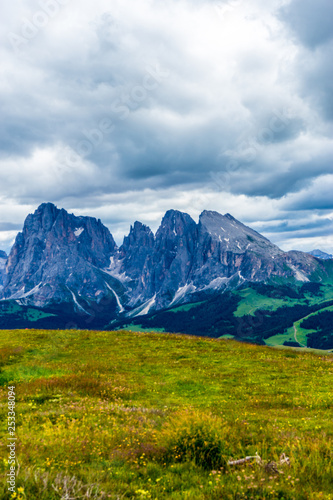 Alpe di Siusi, Seiser Alm with Sassolungo Langkofel Dolomite, a field with a mountain in the background © SkandaRamana