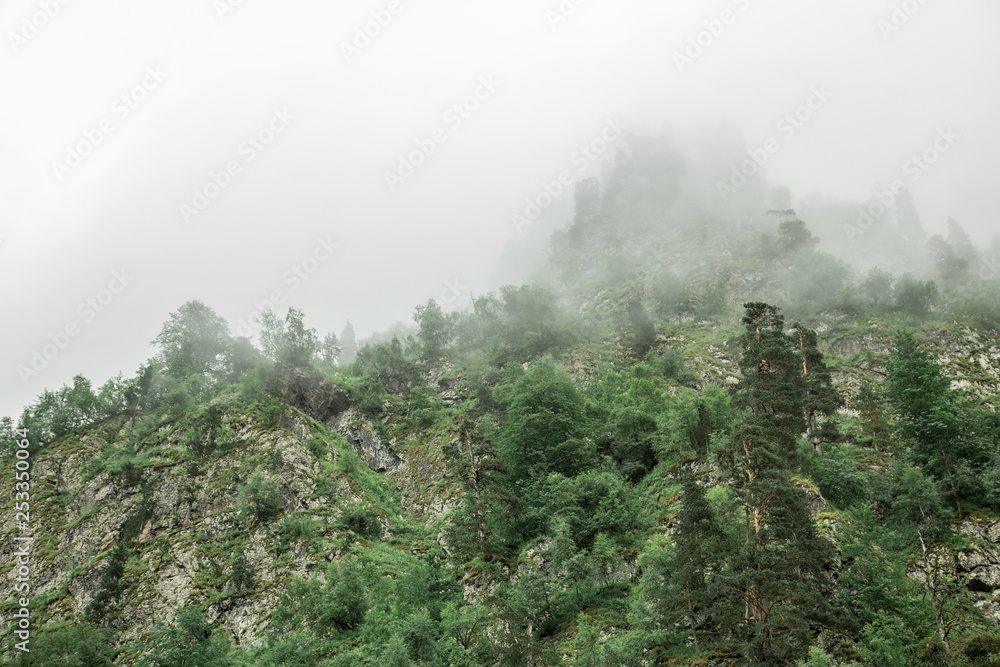 Beautiful mountain landscape in the fog Beautiful mountain landscape in the fog