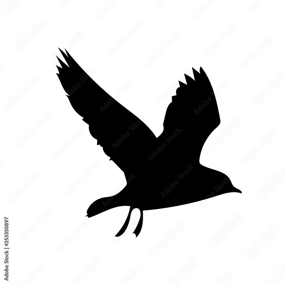 Bird Bird