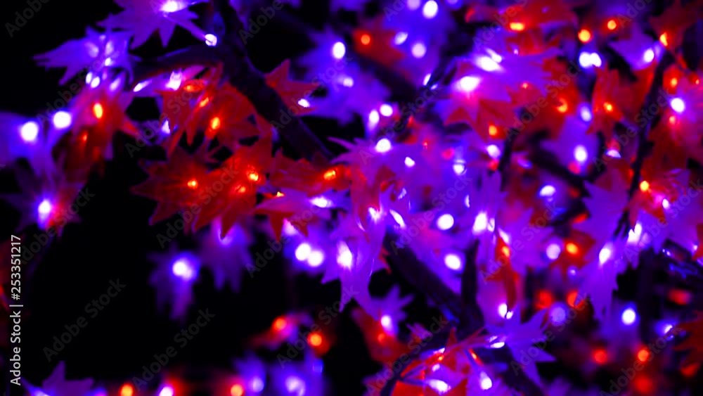 Tree filled with pink, purple and red string lights, LED bulbs and bokeh for Christmas. Tree filled with pink, purple and red string lights, LED bulbs and bokeh for Christmas.