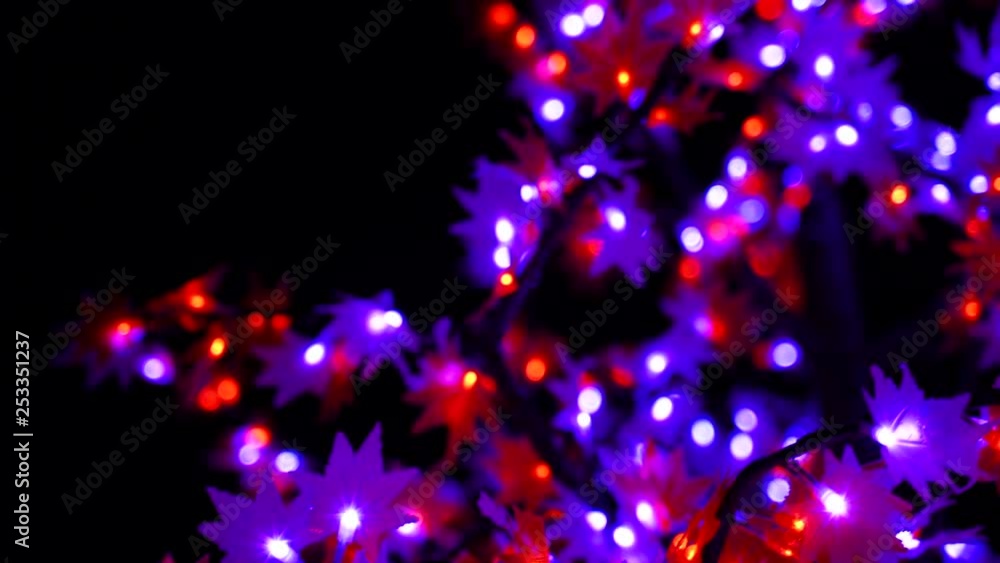 Tree filled with pink, purple and red string lights, LED bulbs and bokeh for Christmas. Tree filled with pink, purple and red string lights, LED bulbs and bokeh for Christmas.