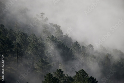 fog in mountains close 