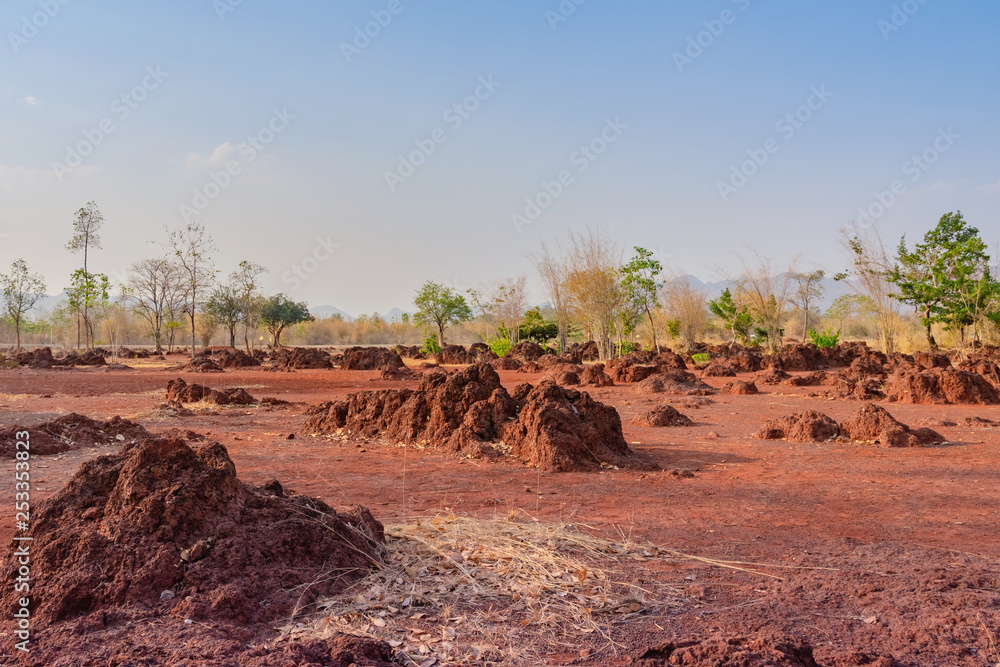 Fototapeta premium Scenery of Red ground in iron ore in Kanchanaburi Thailand.