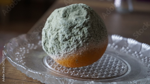 Canvas Print Moldy rotten orange on a plate on wooden background