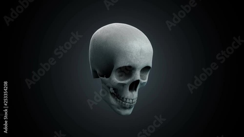 natural skull backdrop