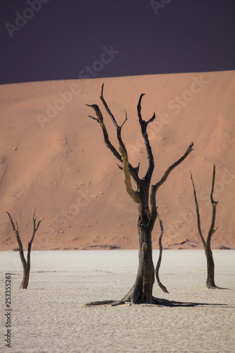 Deadvlei in Sossusvlei National Park in Namibia, Summer 2019 photo