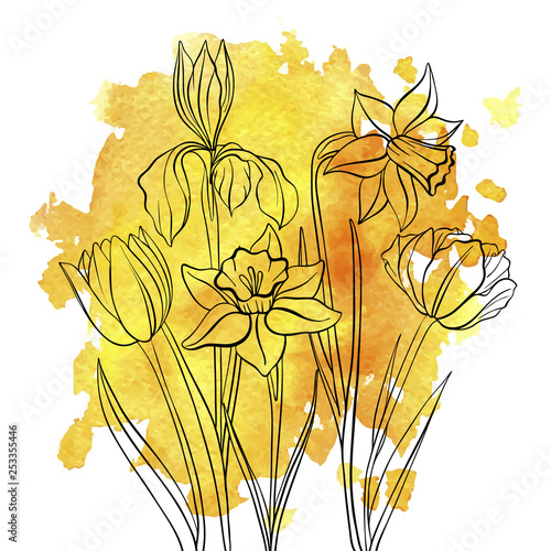 vector drawing flowers