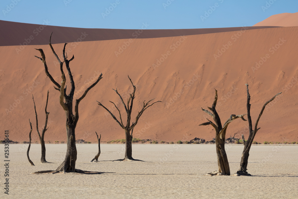 Deadvlei in Sossusvlei National Park in Namibia, Summer 2019 Deadvlei in Sossusvlei National Park in Namibia, Summer 2019