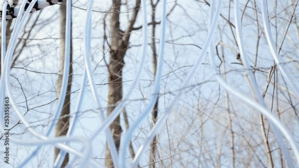Handheld travelling shot of a maple syrup production system: a tangle of tubes and pipes connecting the trunks and carrying the extracted raw sap. Handheld travelling shot of a maple syrup production system: a tangle of tubes and pipes connecting the trunks and carrying the extracted raw sap.