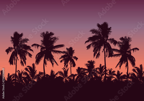 Fototapeta Naklejka Na Ścianę i Meble -  Realistic illustration of a forest of palm trees and the tops of the trees. Purple pink sky with space for text, vector