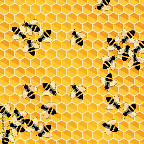Beehive with bees