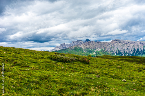 Alpe di Siusi  Seiser Alm with Sassolungo Langkofel Dolomite  a large green field with a mountain in the background