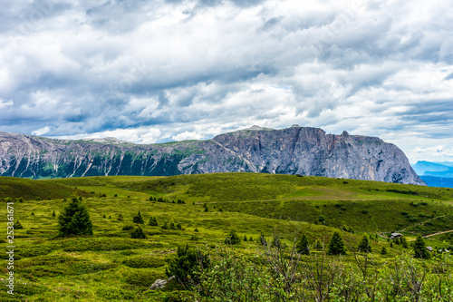 Alpe di Siusi, Seiser Alm with Sassolungo Langkofel Dolomite, a large green field with a mountain in the background