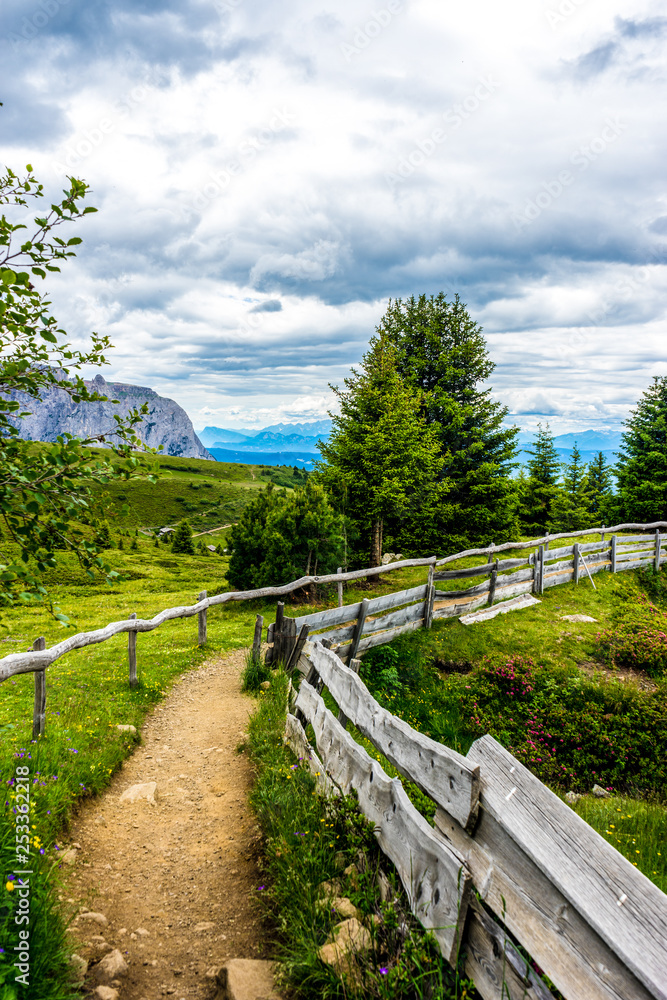 Alpe di Siusi, Seiser Alm with Sassolungo Langkofel Dolomite, a path with trees on the side of a fence